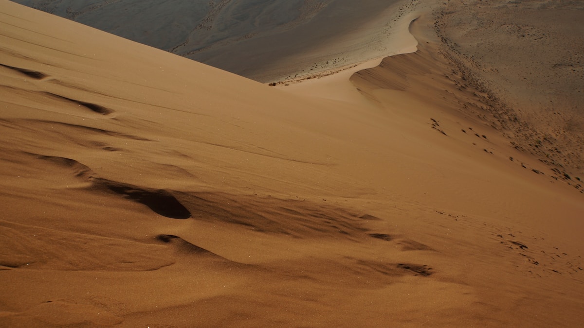 Six Decades of Dune: Celebrating the Anniversary of Frank Herbert’s Sci-Fi Masterpiece