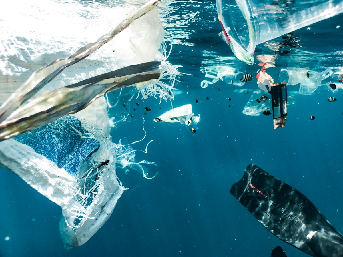 Innovative Dutch Bubble Barrier Catches 86 Percent of Plastic Before It Reaches the Ocean