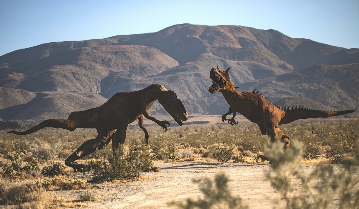 Remarkable Desert Fossil Unlocks New Secrets of Early Mammal History